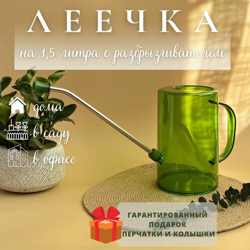 ������ ������ ����� ��� ������ 1,5 ����� ����