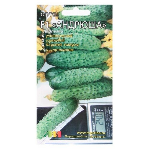 ������ ������ ������ ������ 