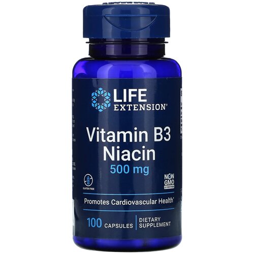   Life Extension Vitamin B3 Niacin, 90 , 500 , 100 .   -     , -,   