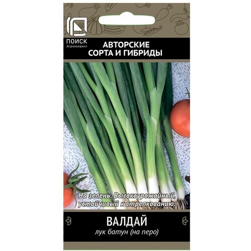 ������ ������ ������ ��� ����� ������ 1 ��. ����