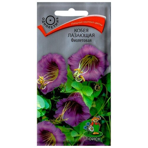 ������ ������ ������ ����� ����� �������� ���������� 5 ��. ����