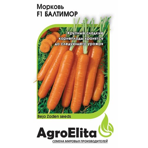 ������ ������ ������ ������� �������� F1, 150��, AgroElita, Bejo ����