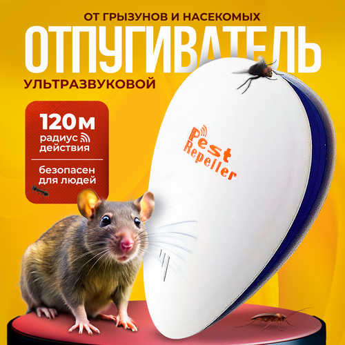 ������ ������ ������������ �����, �������, ����, ��������� ��������� �������������� ����