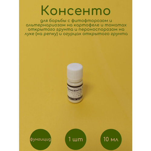 ������ ������ �������� �������� 10 �� �� �������� �������� ����