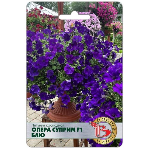 ������ ������ ������ ������� ��������� 