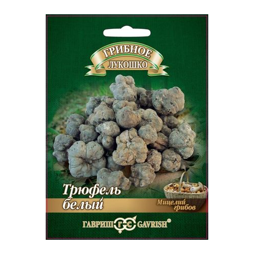 ������ ������ ������� ������ ������ ������� ������� ������� ����� ���������� �� �������� ��������� 15 �� ����