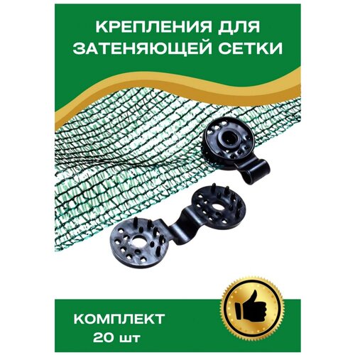 ������ ������ ��������� ��� ���������� ����� �������� 20 ����, ����������� ����