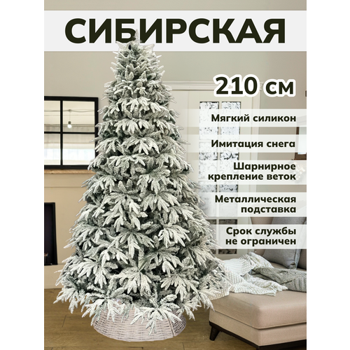 ������ ������ ���� ������������� ����� �� ������ ������ ������� ����