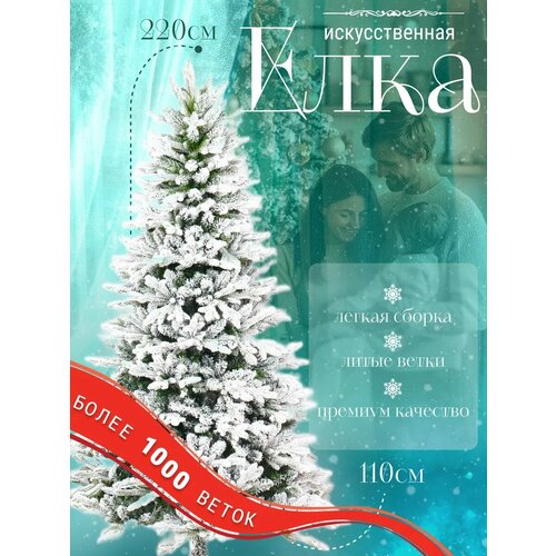 ������ ������ ���� ������������� CULT POINTE��� ��������� ��������� 220 �� ����