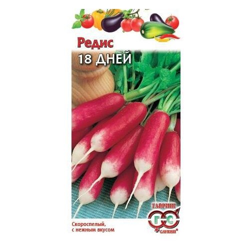 ������ ������ ������ ������ ����� 18 ���� 3 � ����