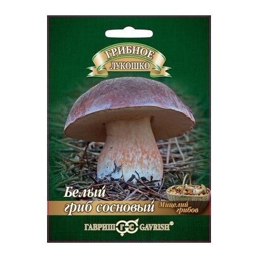 ������ ������ ������ ������ ������� ������� ����� ���� �������� �� �������� ��������� 15 �� ����