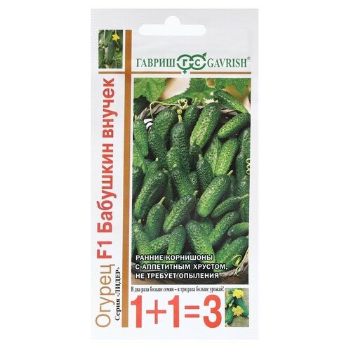 ������ ������ ������ ������ 