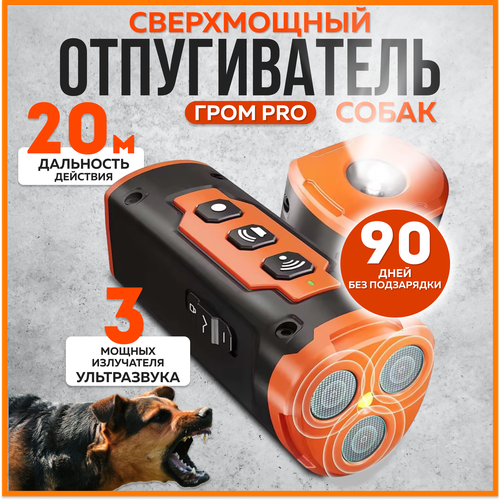 ������ ������ �������������� ������������ ����� ���� PRO ����