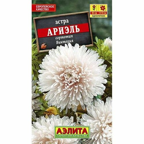 ������ ������ ������ ����� ������ (����������) (������) 0,2� ����