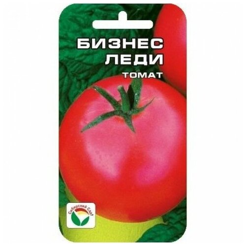 ������ ������ ������ ���� 20�� ����� (��� ���) ����