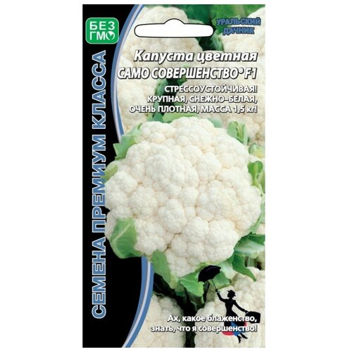 ������ ������ ������� ������� ���� ������������ F1 ����