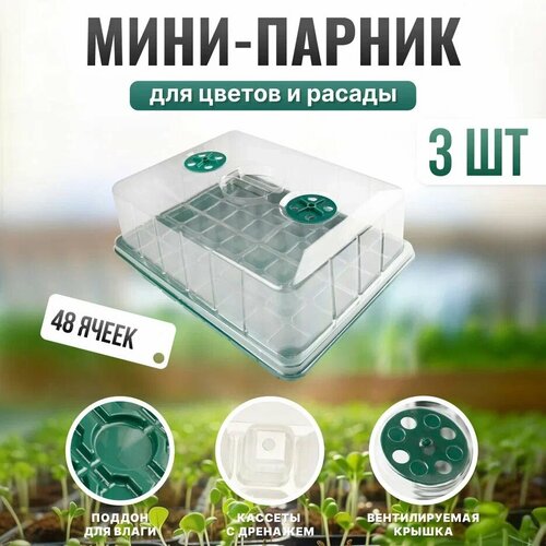 ������ ������ ����-������ ��� ������� ������� ��� ������������ ����� � ������� �� 48 ����� 3�� ����