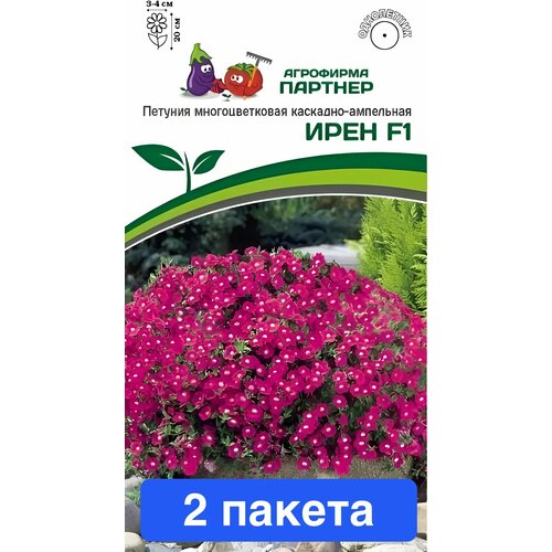 ������ ������ ����� ������� ������ ���� F1 2 ������ ����