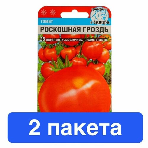 ������ ������ ������ ������ ��������� ��� 