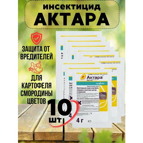 ������ ������ ������ ��� �������� �� ���������� ����