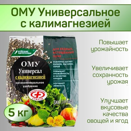 ������ ������ ��� 