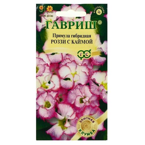 ������ ������ ������ ������ ������� ����� � ������, ��������, ����� ������� ������, 3 �� ����