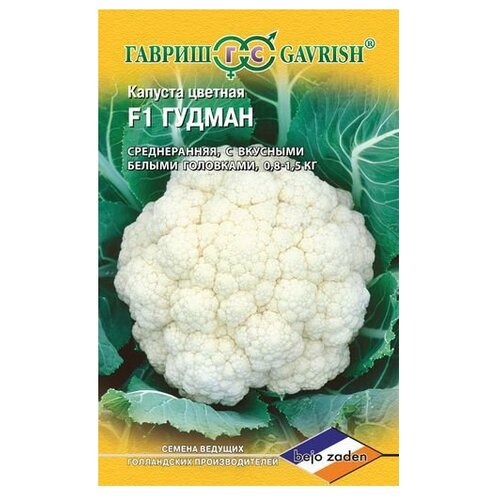 ������ ������ ������ ������ Bejo ������� ������� ������ F1 10 ��., 10 ��. ����