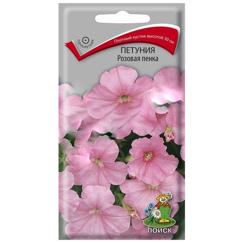 ������ ������ ������� ������� ����� ����