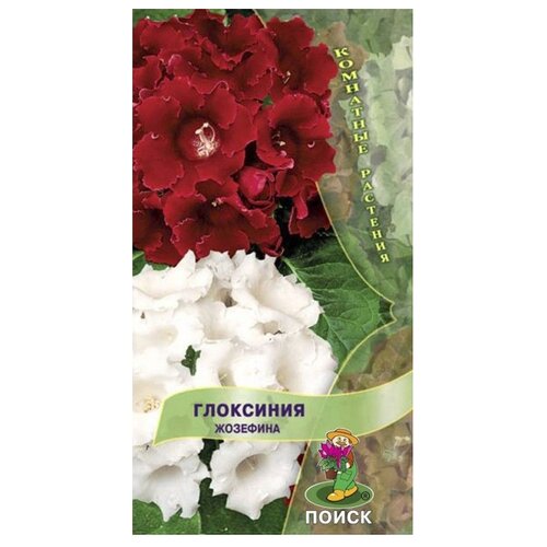 ������ ������ ������ ����� ��������� �������� ����� 5 ��. ����