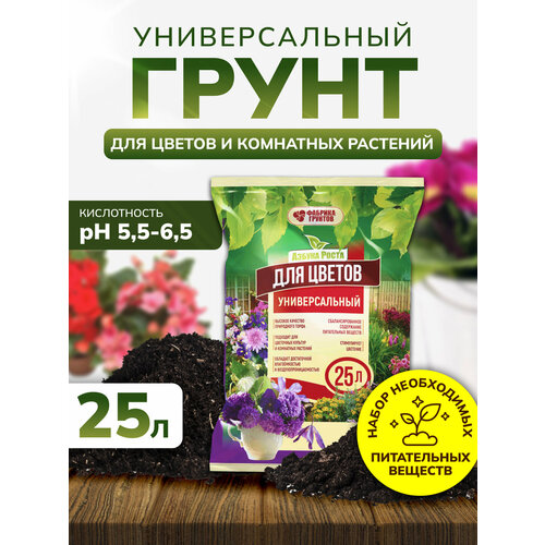 ������ ������ ����� ��� ������ ������������� 25 ������, ����� ��� �������, ����������, InHome Green ����