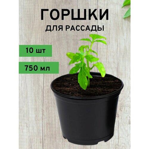 ������ ������ ������ ��� �������, 750 ��, 10 ��, ������ ����