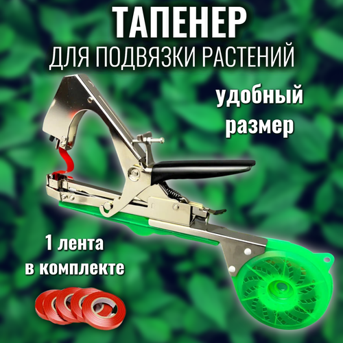 ������ ������ ������� ��� �������� ������� ��������, �������, ������/�������, 5 ���� ����