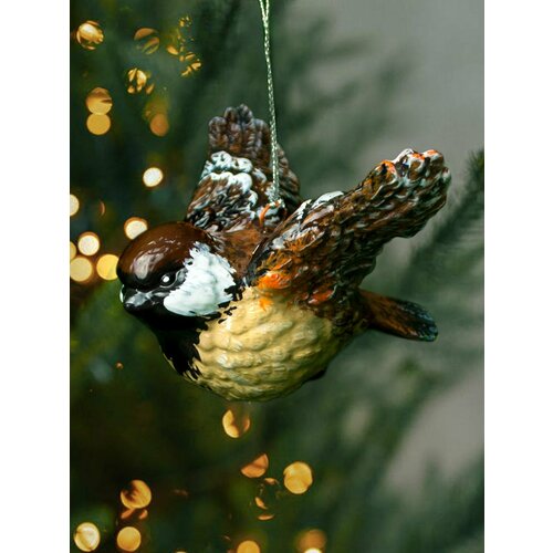 ������ ������ ���������� ������� ������� ������� � ������ ������ �������, 7 �� ����