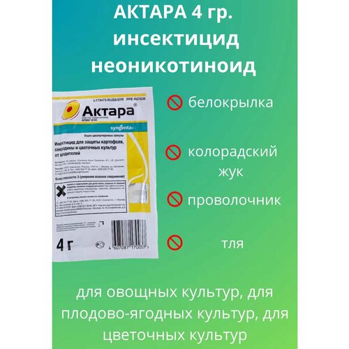 ������ ������ �������� �� ��������� ���������� ������ 4 � ����