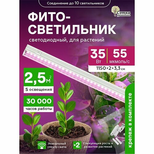 ������ ������ �������������� 