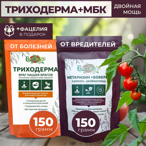 ������ ������ ���������� ��������� ������� ����������� ����