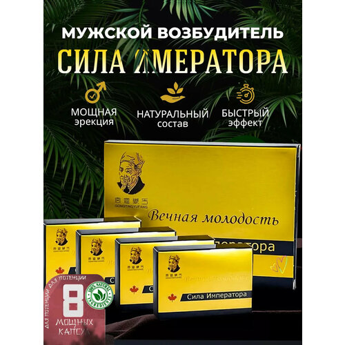 ������ ������ ���� ����������, 8 ������, ��� ��������� ��������, ������������ ��������, ������ ��� ������ ����