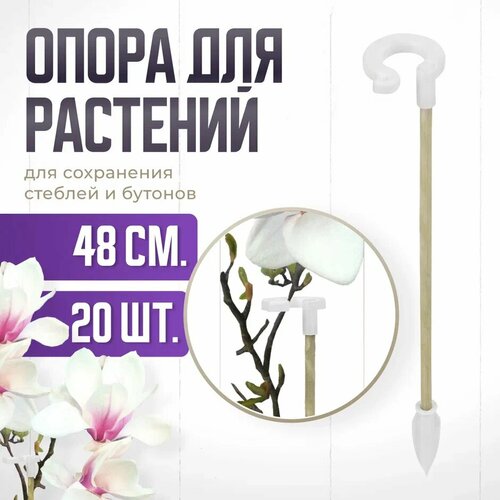 ������ ������ ����� ��� �������� � �������, ������� ������� ��� �������, ��� ������� , ��������� ������ 48 �� 20 ���� ����