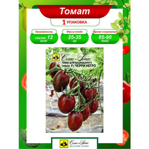 ������ ������ ������ ����� ����� ����� F1 ����������� 5 ��./��. ����