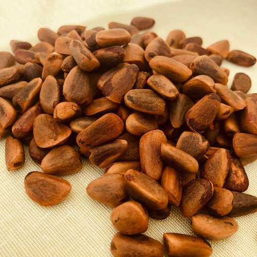 ������ ������ ������ ���� ��������� ����