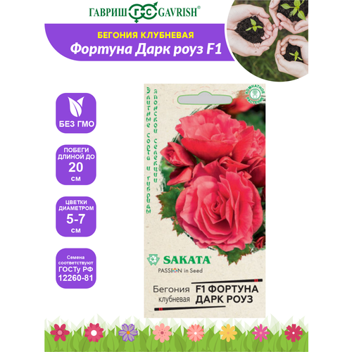 ������ ������ ������ ������� ������� ���� ���� F1 �������. ������. �������� ������ ����� ��������� �21 4 ��. ����