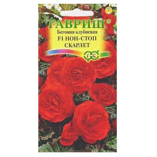 ������ ������ ������ ������ ������� ��������� ���-���� ������� F1, �������, �������� 4 ��. ����