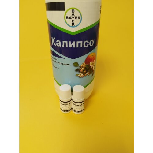 ������ ������ ���������� ������� 2 �� �� 10 �� ����