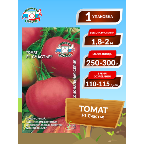 ������ ������ ����� F1 ������� ����