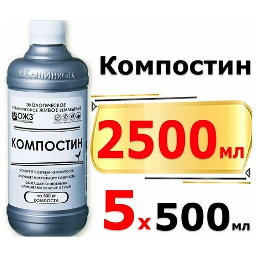 ������ ������ ���������� ���������� �������� ��������� ����