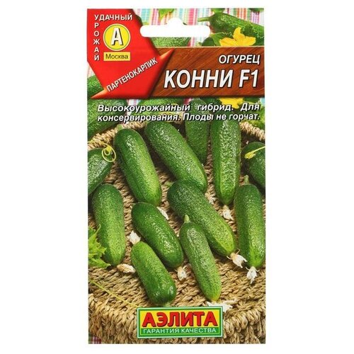 ������ ������ ������ ��������� ������ ������ ����� F1 10 �� ����