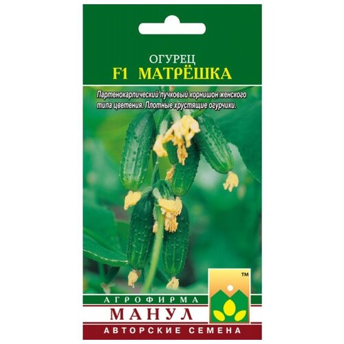 ������ ������ ������ ����� 