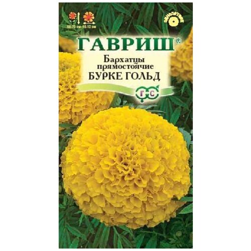 ������ ������ ������. �������� ������������ 