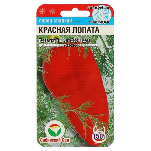 ������ ������ ����� ����� ��������� ��� ����� ������� ������ 15 ��. ����