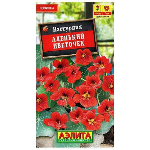 ������ ������ ��������� �������� �������� 1�. ����� ����